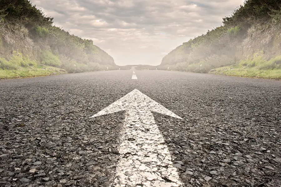 Nahaufnahme einer leeren Asphaltstraße mit weißem Fahrtrichtungspfeil, flankiert von grünen Büschen und Schutzplanken.